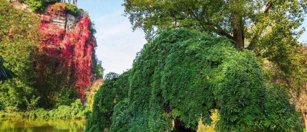 A Spectacular Garden to Discover Near Hôtel Paris Louis Blanc